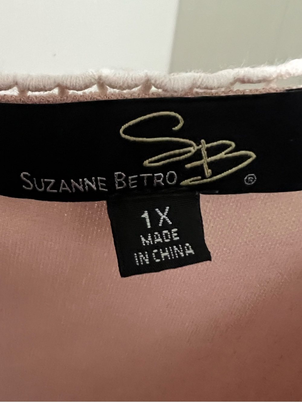 Suzanne Betro Dusty Rose Mesh Tunic with Ivory Floral Appliqué - Picture 13 of 13